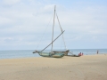 _DSC4950.JPG